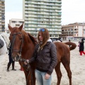 Carrera de caballos y burros