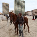 Carrera de caballos y burros