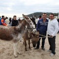 Carrera de caballos y burros