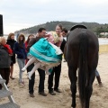 Carrera de caballos y burros