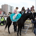 Carrera de caballos y burros