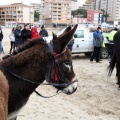 Carrera de caballos y burros