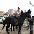 Carrera de caballos y burros