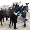 Carrera de caballos y burros