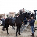 Carrera de caballos y burros