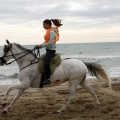 Carrera de caballos y burros