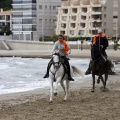 Carrera de caballos y burros