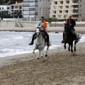 Carrera de caballos y burros