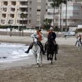 Carrera de caballos y burros