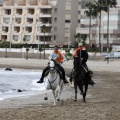 Carrera de caballos y burros