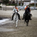 Carrera de caballos y burros