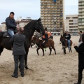 Carrera de caballos y burros