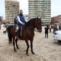 Carrera de caballos y burros