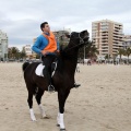 Carrera de caballos y burros