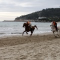 Carrera de caballos y burros