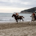 Carrera de caballos y burros