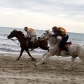 Carrera de caballos y burros