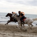 Carrera de caballos y burros