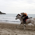 Carrera de caballos y burros