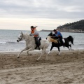 Carrera de caballos y burros