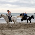 Carrera de caballos y burros