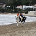 Carrera de caballos y burros