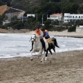 Carrera de caballos y burros