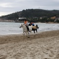 Carrera de caballos y burros