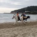 Carrera de caballos y burros