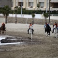 Carrera de caballos y burros