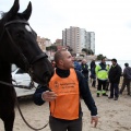 Carrera de caballos y burros