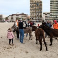 Carrera de caballos y burros