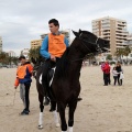 Carrera de caballos y burros