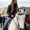 Carrera de caballos y burros