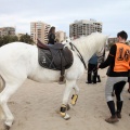 Carrera de caballos y burros