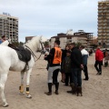 Carrera de caballos y burros