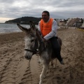 Carrera de caballos y burros