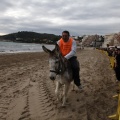 Carrera de caballos y burros