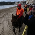 Carrera de caballos y burros