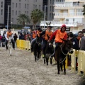 Carrera de caballos y burros