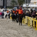 Carrera de caballos y burros