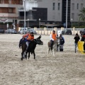 Carrera de caballos y burros