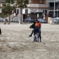 Carrera de caballos y burros