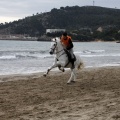 Carrera de caballos y burros