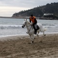 Carrera de caballos y burros