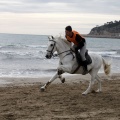 Carrera de caballos y burros