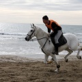 Carrera de caballos y burros