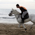 Carrera de caballos y burros