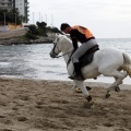 Carrera de caballos y burros