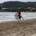 Carrera de caballos y burros